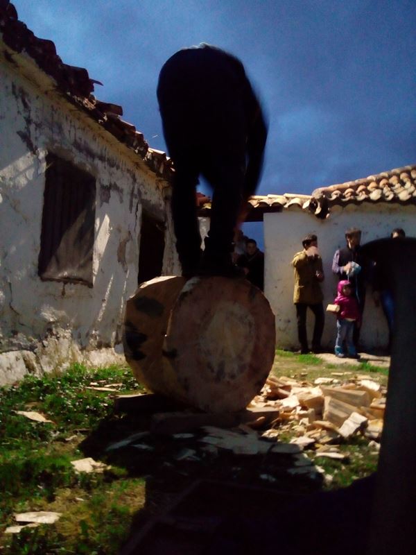 Cortador de troncos en una Finca en Segovia _5
