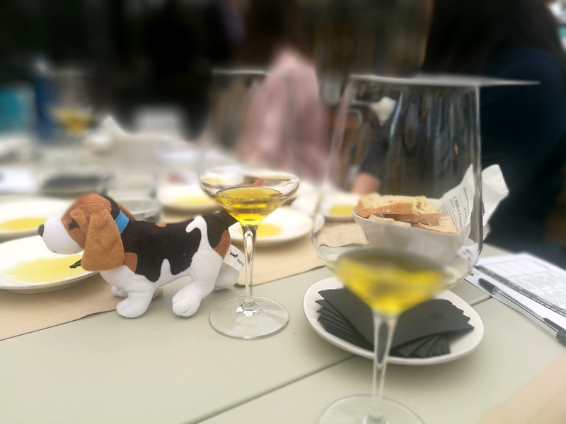 Catas-de-Aceite-AOVE-por-Eventos-de-Autor-_7